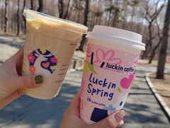 -长春市南湖公园