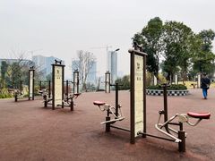 -东岳体育公园