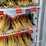 平福巷好吃老店串串香真心不错