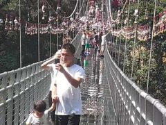 -九龙江国家森林公园