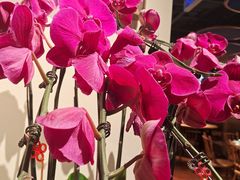 -周家二小姐的菜(丹阳店)