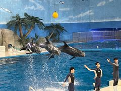 -泉城欧乐堡海洋极地世界
