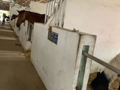 -松声马术俱乐部