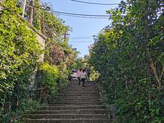 -南山植物园