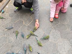 -南宫五洲植物乐园