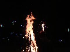 -田野绿世界