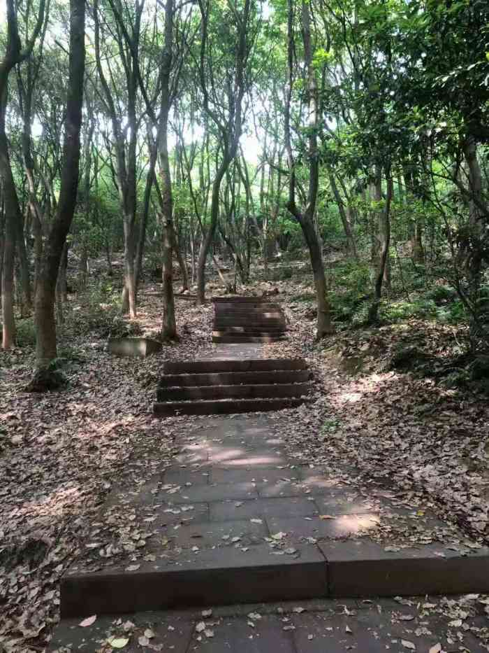 惠山國家森林公園-