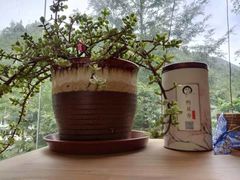 -花水湾红太阳牛肉汤锅