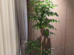 -广州酒家(中华广场店)