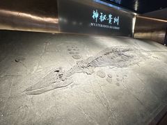 -贵州省地质博物馆