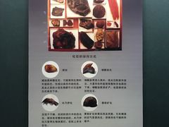 -世界恐龙谷景区