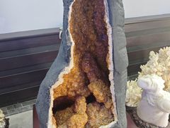 -游龙石文化科普馆