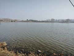 -东郊湿地公园