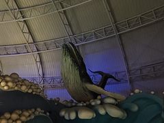 -烟台海昌鲸鲨海洋公园