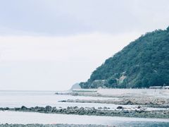 -杨梅坑