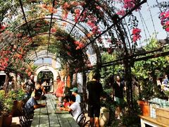 -The Grounds of Alexandria