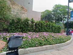 -荔湾湖公园
