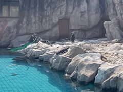 -上海野生动物园