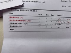 -北京观赏动物医院·24小时大型综合·猫专科·异宠专科