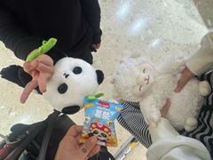 -海底捞火锅(龙岗星河COCO Park店)