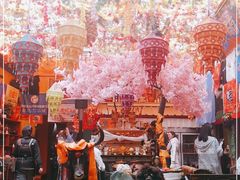 -吉祥圣雪藏餐