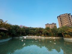 -碧桂园润杨溪谷温泉酒店