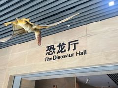-安徽省地质博物馆