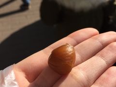 -粒上皇(上下九店)