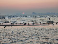 -老虎石海上公园