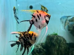 -多彩贵州城极地海洋世界