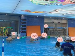 -戊辰亲子游泳俱乐部