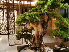 大堂-湊湊火锅·茶憩(世博大道店)