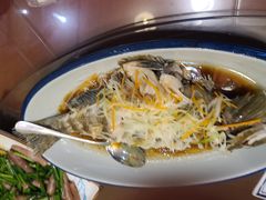 黄鹤鱼-宾朋海鲜饭庄(兴海路店)