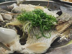 -石岐乳鸽村(南海第三分店)