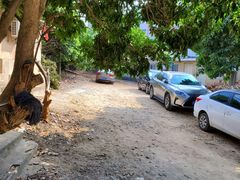 -陈岱后山窑鸡店