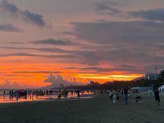 -小海豚•老字号海鲜餐厅(天涯店)