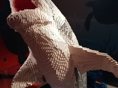 -沈阳海洋探索中心