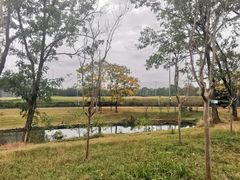 -两河城市森林公园