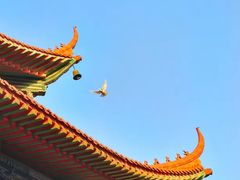 -高旻寺