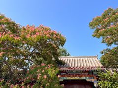 -天津妈祖文化园