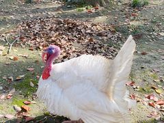 -昆山城市生态森林公园