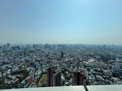 -六本木新城展望台(东京城市景观)