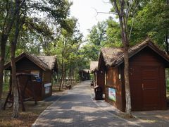-西青郊野公园