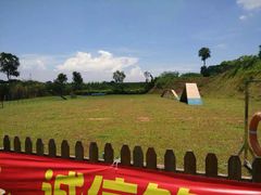 -良成狗狗乐园