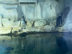 -无锡海洋馆