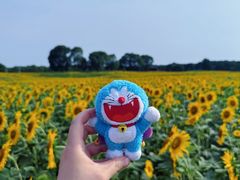 -苏州湾体育公园