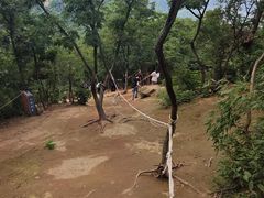 -灵岩山风景区