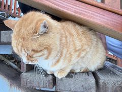 -终南山南五台景区