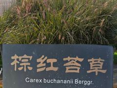 -汉长安城未央宫国家考古遗址公园