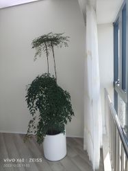 -HEYAN荷妍专业脱毛连锁机构